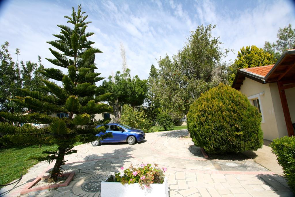 Alonia Villas 피조우리 외부 사진