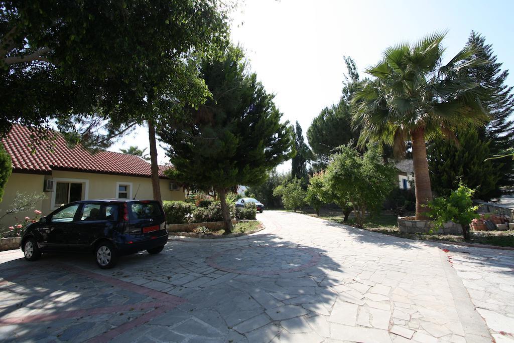Alonia Villas 피조우리 객실 사진