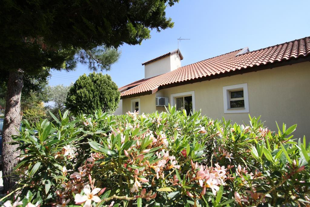 Alonia Villas 피조우리 객실 사진